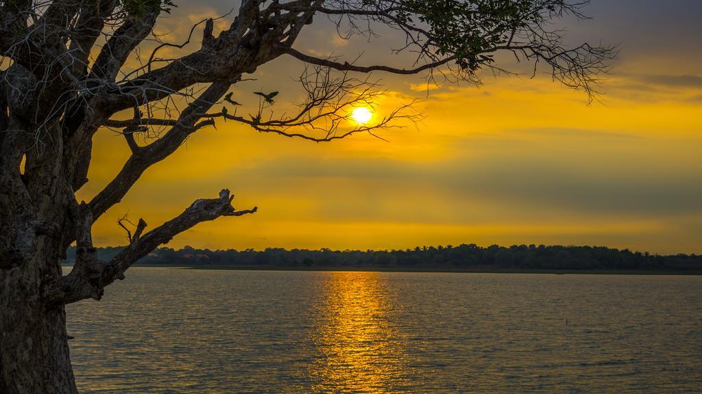 Serenity Lake Resort Yala Тіссамахарама Екстер'єр фото